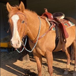 Meet your Posher, Autumn